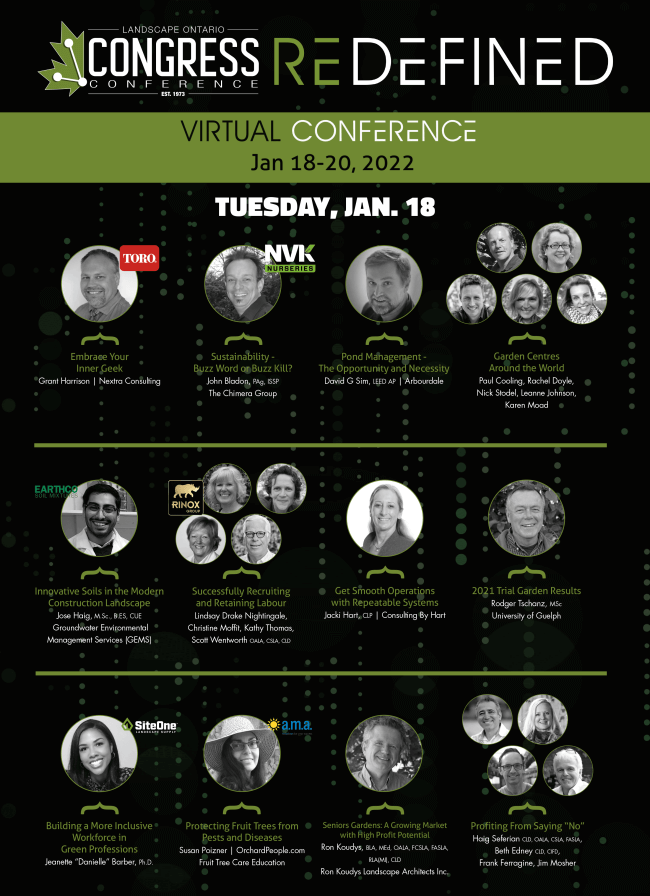 Congress Virtual Conference