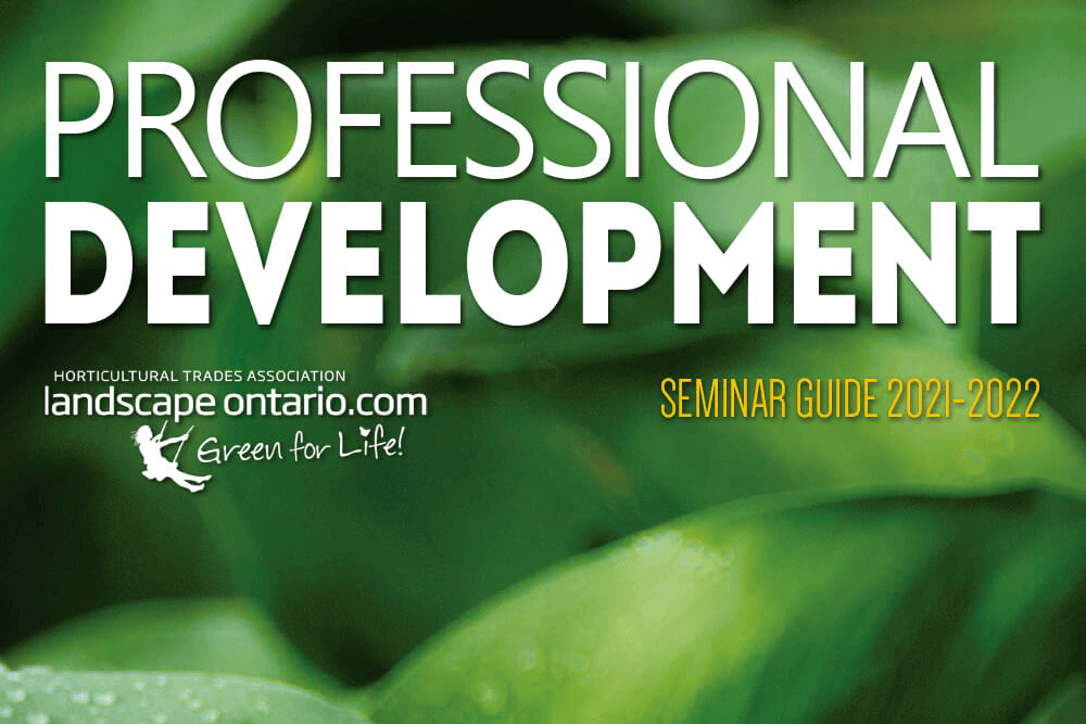 professional development seminars