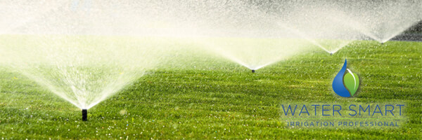 water smart irrigation professional
