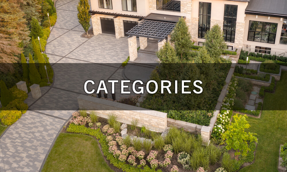 Front yard landscape