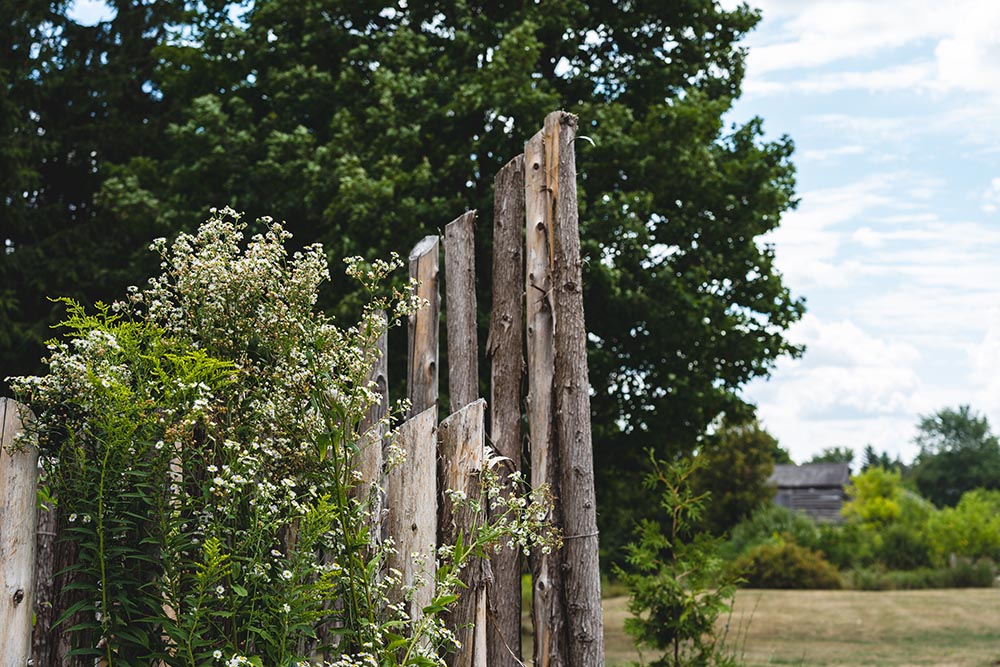 grandmother's voice garden
