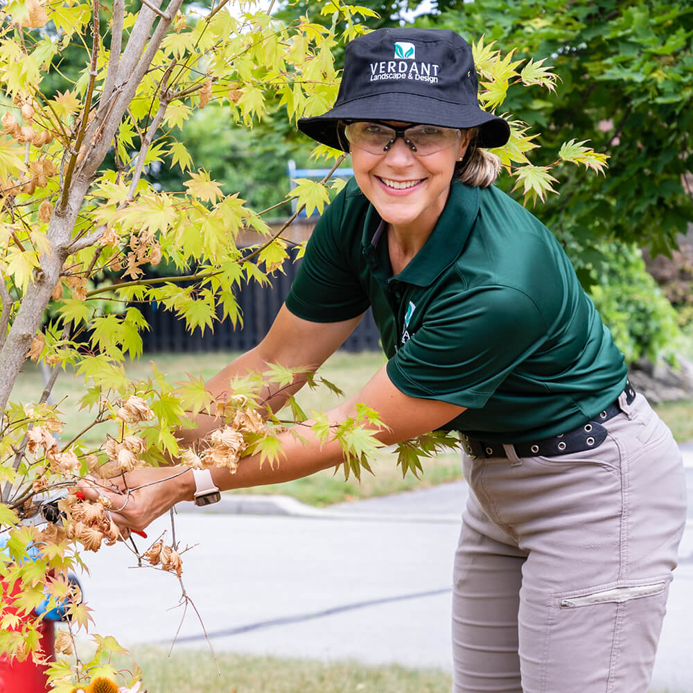 woman pruning a tree