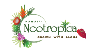 Neotropica