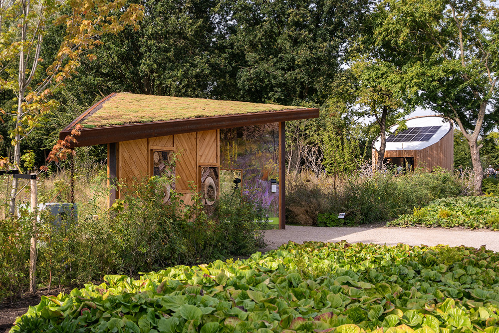 wild at heart garden