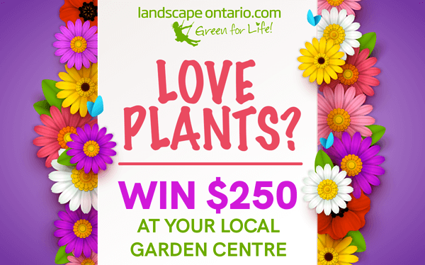 love plants? win $250 at your local garden centre