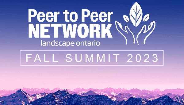 Peer to Peer Network graphic