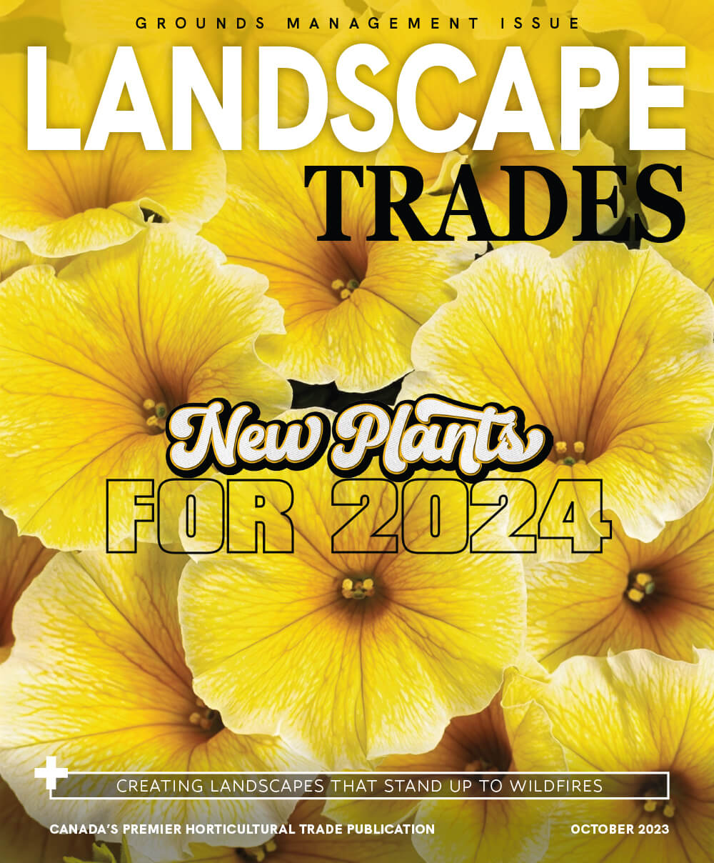 lt cover October 2023