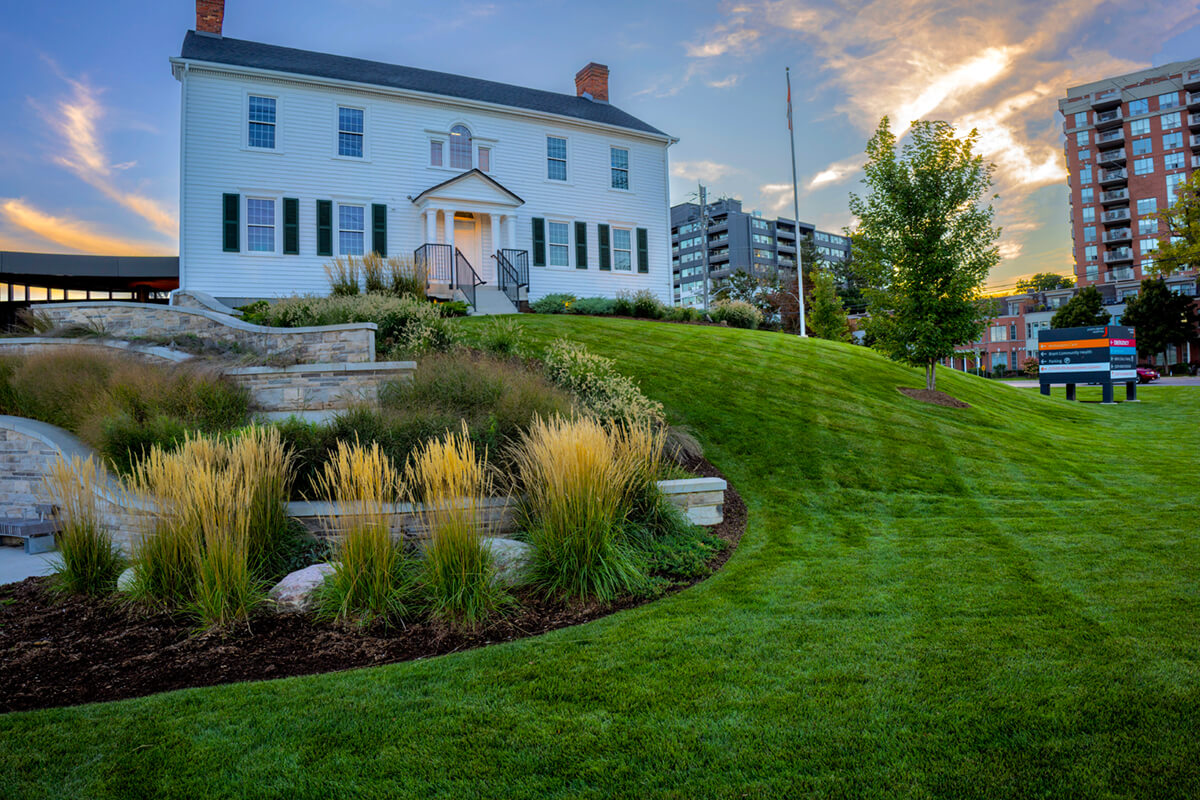 large hill of grass and plants with a house atop