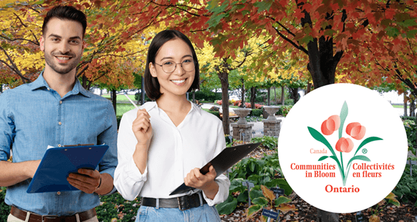 man and a woman with clipboards looking at a park
