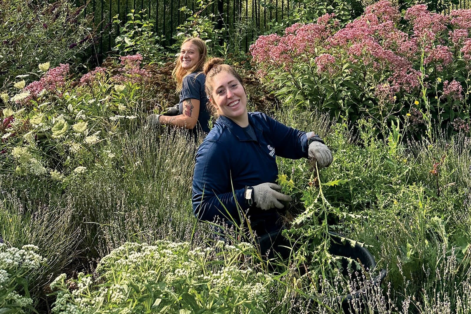 Two young women working among tall grasses and shrubs