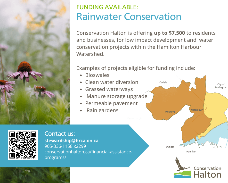 qr code details and a map