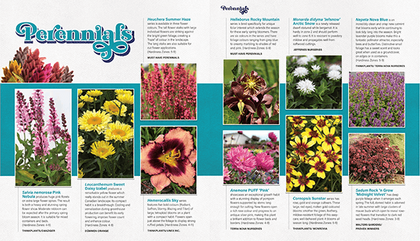 magazine editorial showcasing new plants