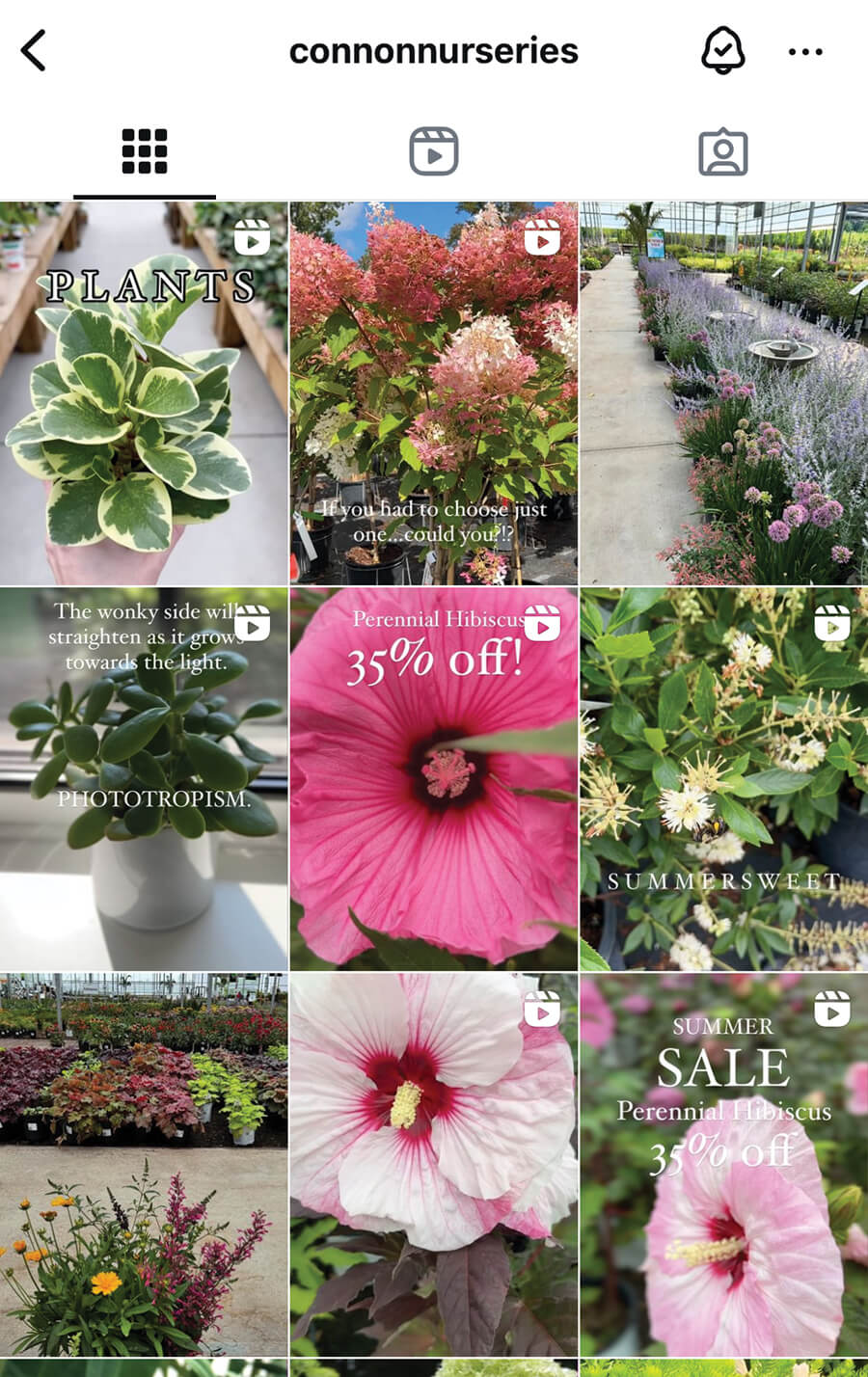 screen capture of a social media feed on a phone