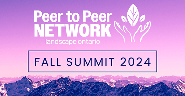 Peer to Peer Network graphic