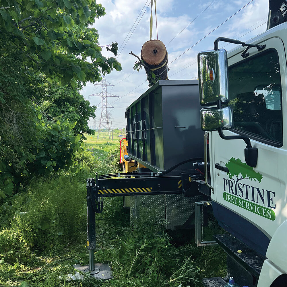 a truck using a crane to lift a large tree trunk