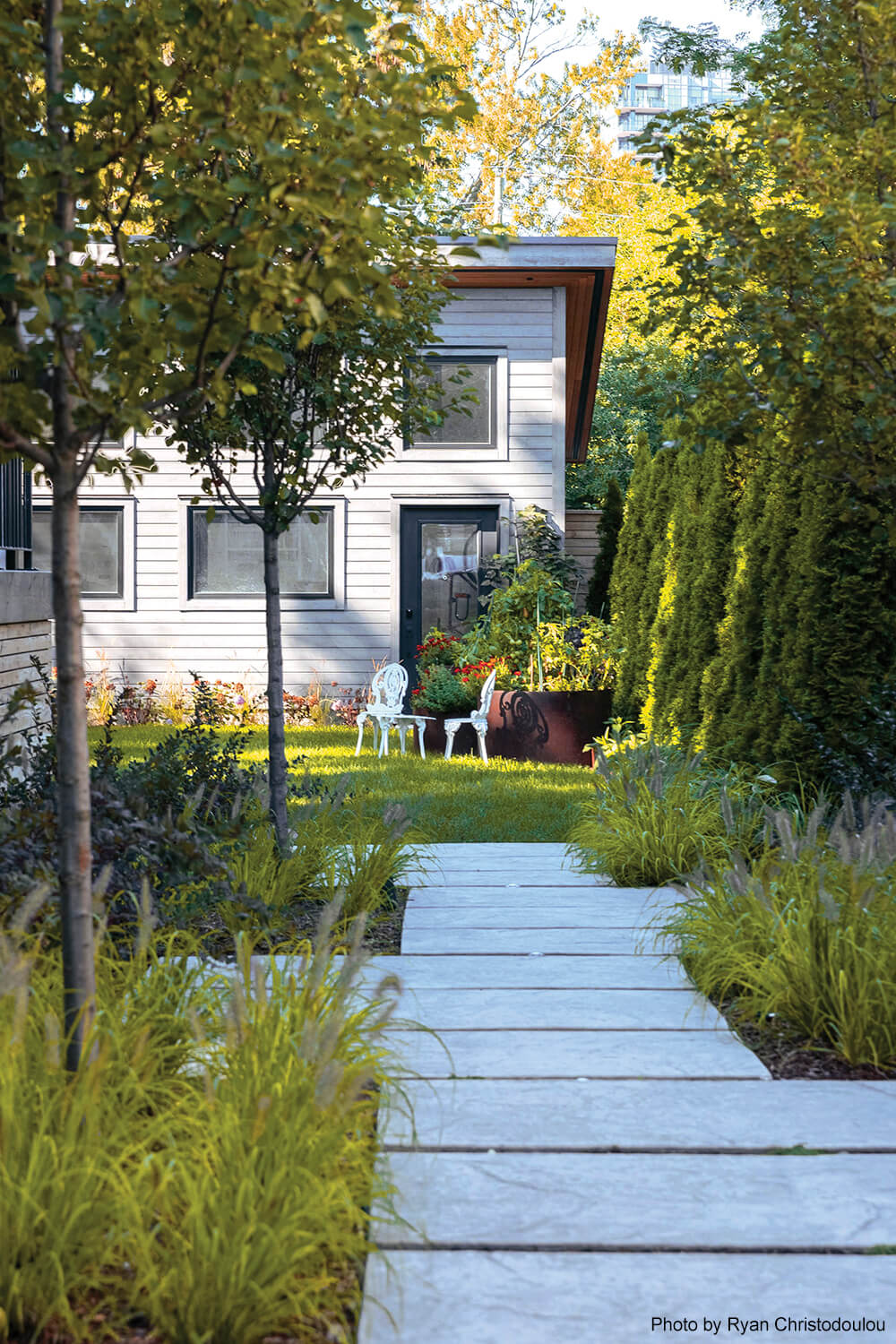 wooden path leading to a house in the distance