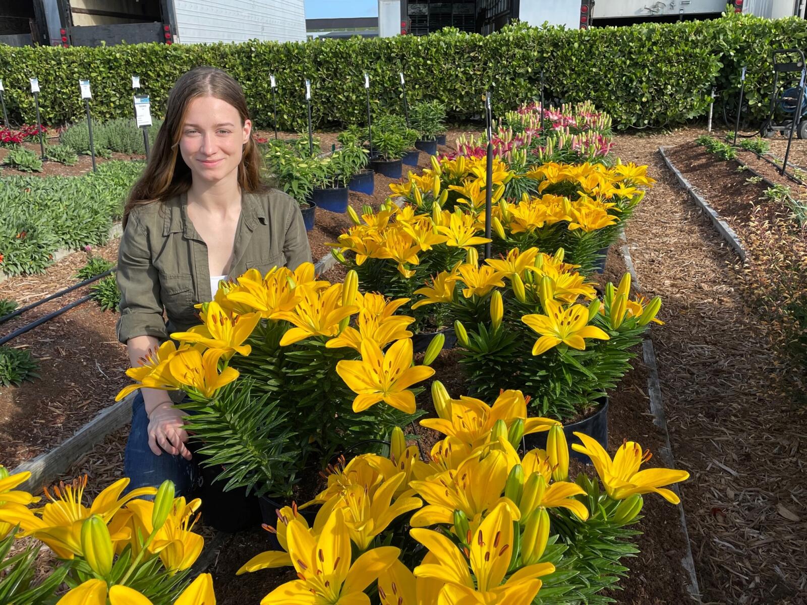 Anik Graves - ThinkPlant