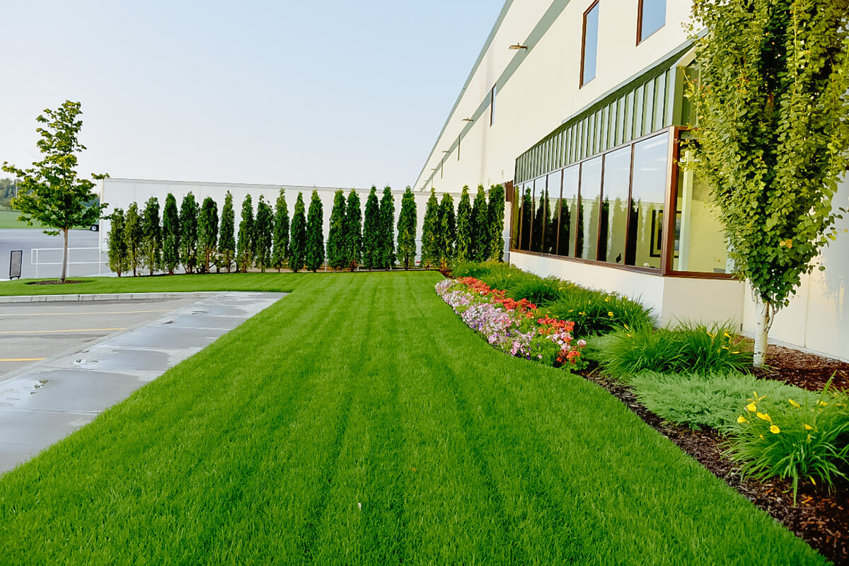 award winning landscape project