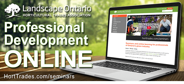 professional development online