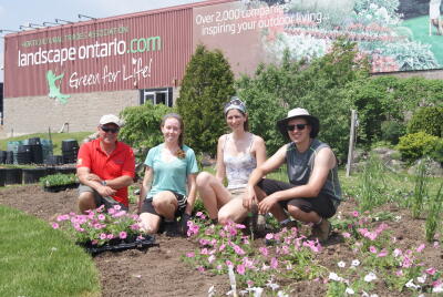 trial garden planting 2016