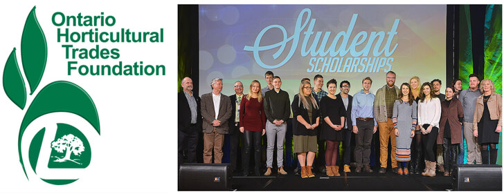 scholarship recipients on stage