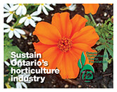 Foundation donor card