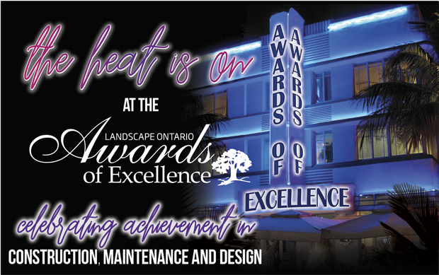 awards of excellence