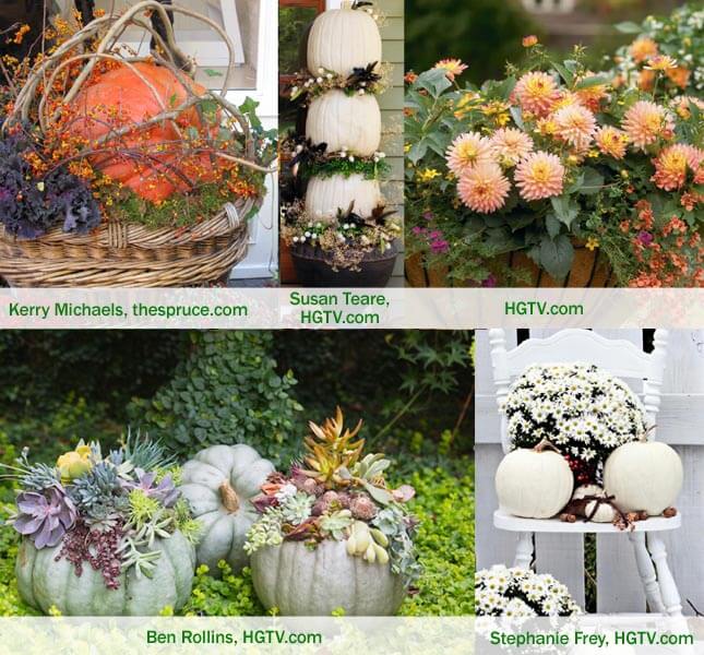 Fall Container Garden Ideas