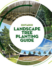 Ontario Landscape Tree Planting Guide