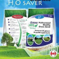 Graham Turf Seeds Ltd