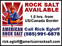 American rock salt