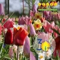 Tradewinds International