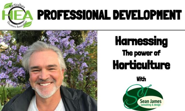 HEA professional development webinar