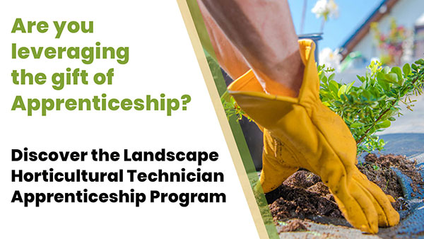 are you leveraging the gift of apprenticeship?