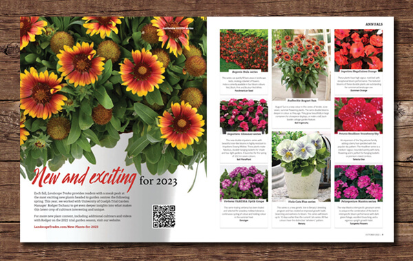 magazine editorial showcasing new plants