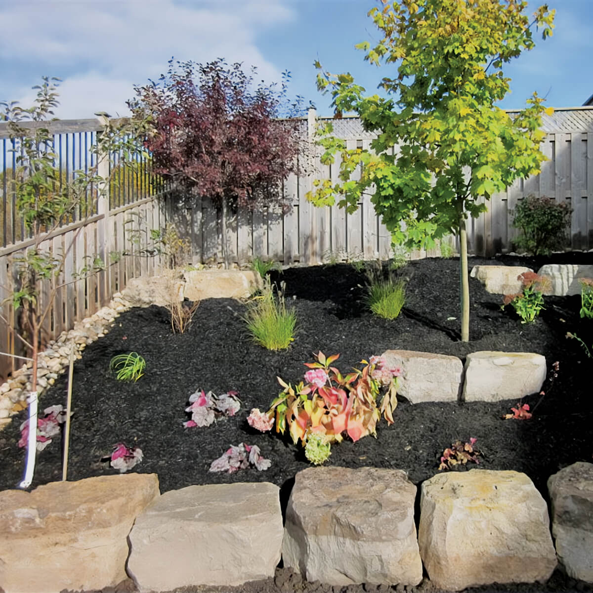 backyard landscaping