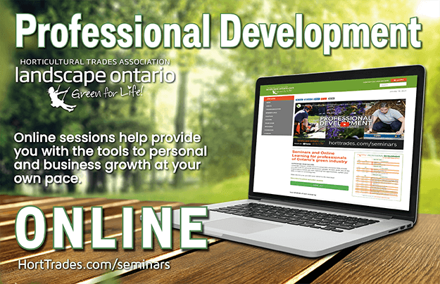 professional development online