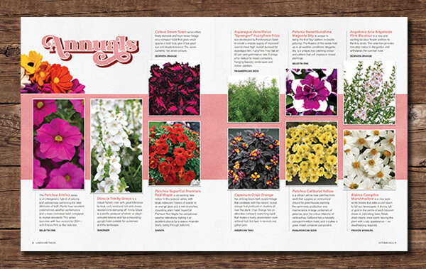 magazine editorial showcasing new plants