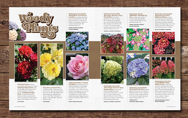 magazine editorial showcasing new plants