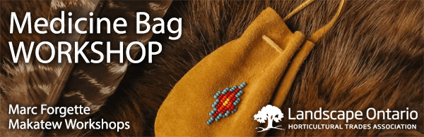 medicine bag workshop graphic