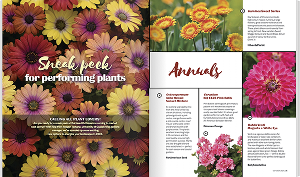 magazine editorial showcasing new plants