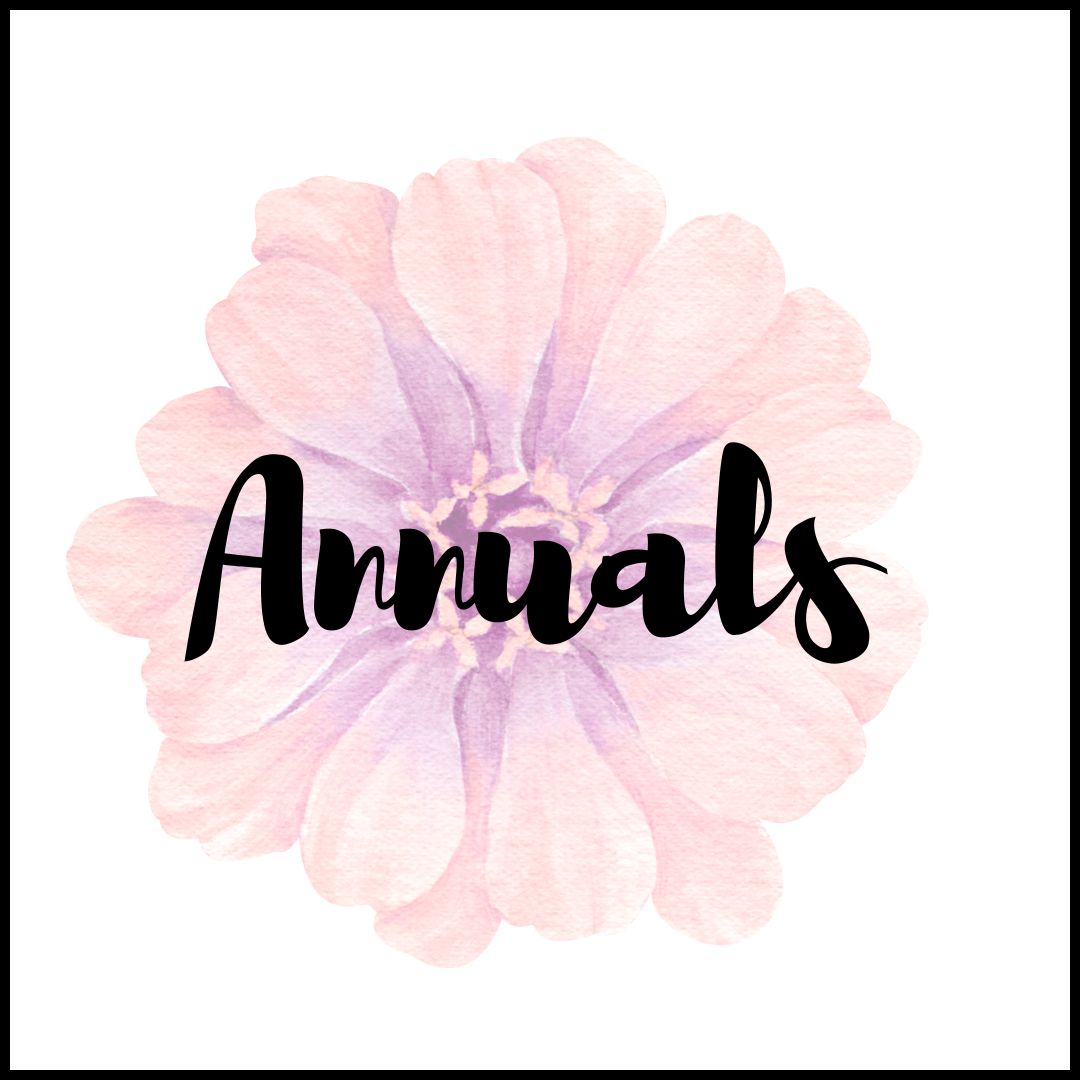 new annuals for 2025