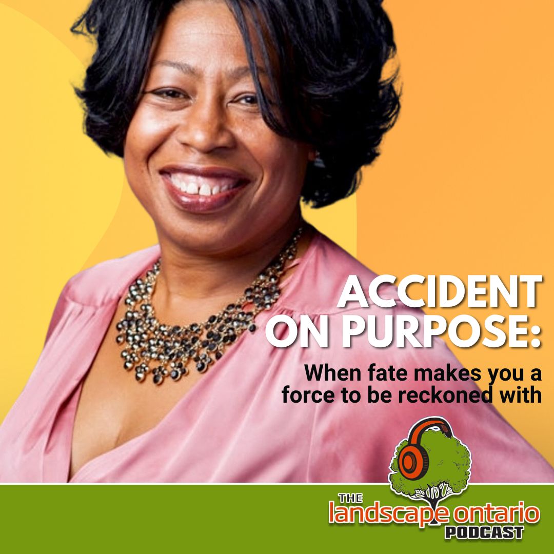 Accident on purpose: