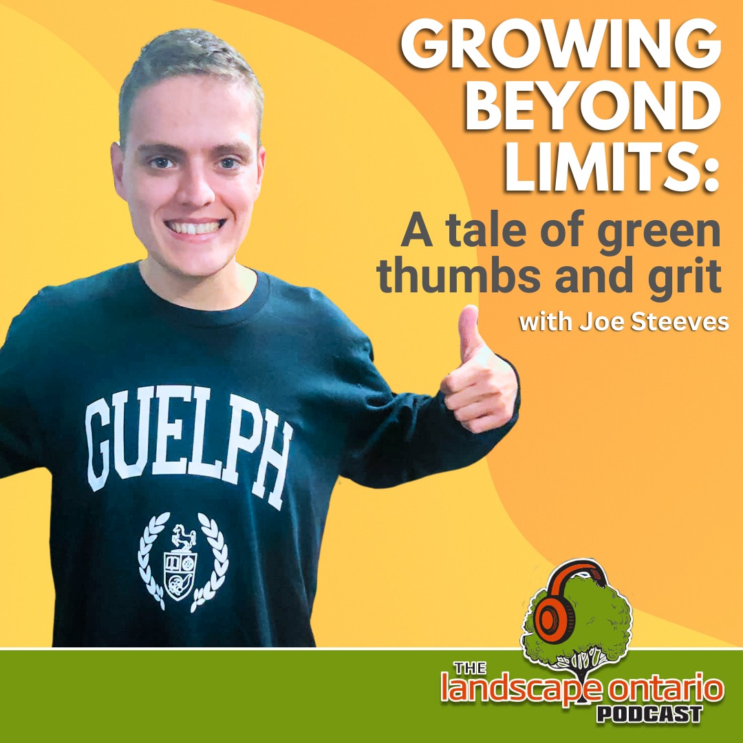 Growing beyond limits: