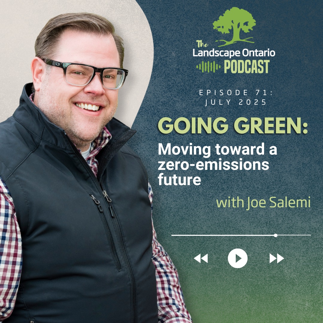 Going Green: