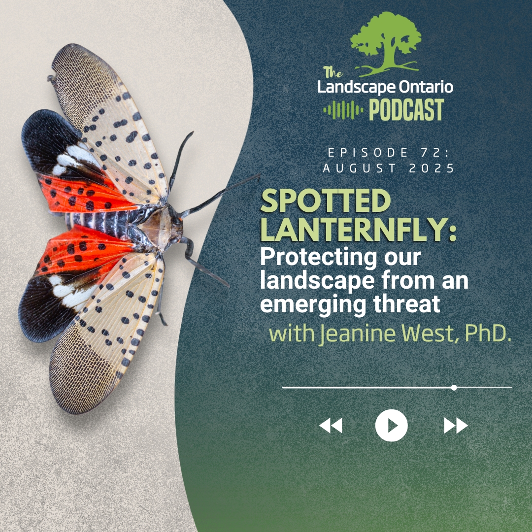 Spotted Lanternfly