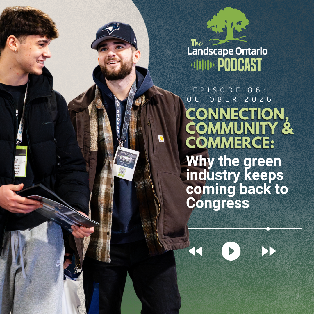 Connection, Community & Commerce: