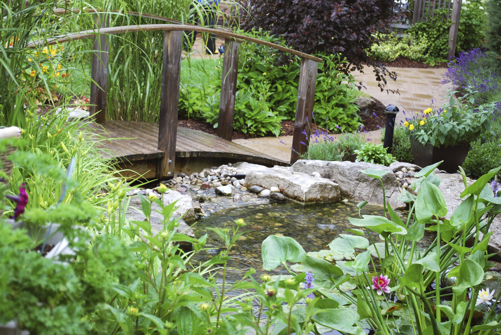 London Gardens of Distinction Tour 2010 - Landscape Ontario