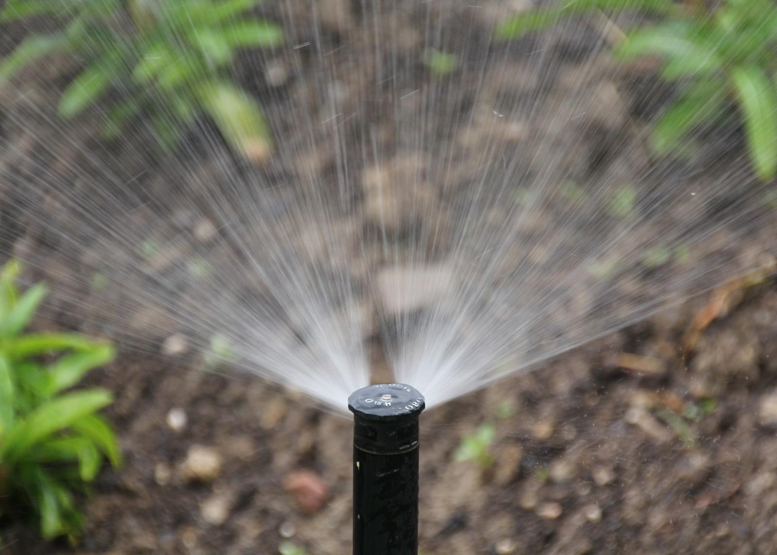 Hire an irrigation professional