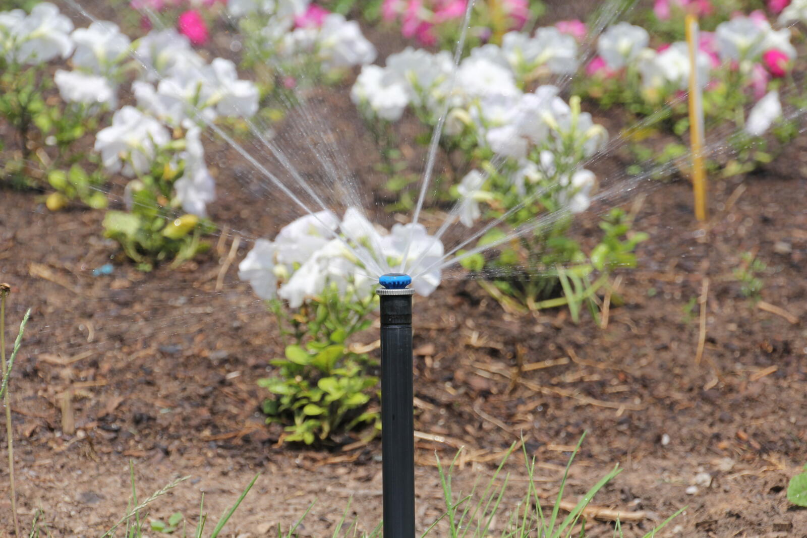 Smart Irrigation Month 2017